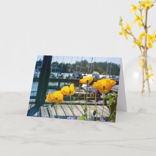 Gele Poppies bij de Bootjachthaven Port Blank Kaart (Gele Bloem)