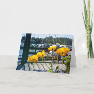 Gele Poppies bij de Bootjachthaven Port Blank Kaart