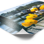 Gele Poppies bij de haven van de Bootjachthaven Foto Afdruk (Hoek)