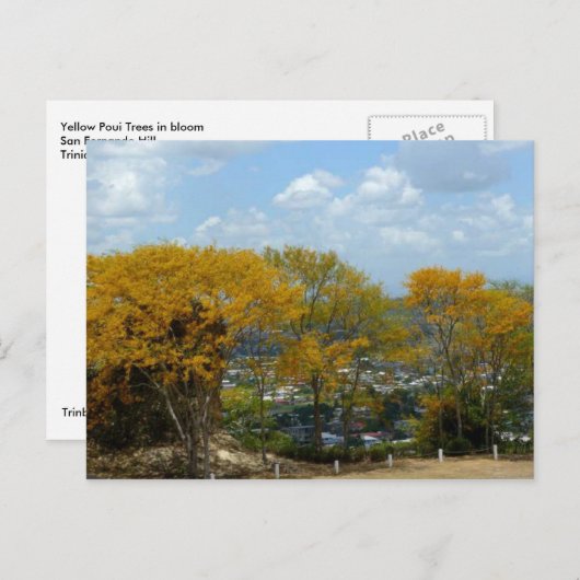Gele Poui Trees op San Fernando Hill Briefkaart (Voorkant / Achterkant)