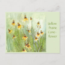 Gele Prairie Coneflower-ansichtkaart