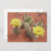 Gele Prickley Pear Briefkaart (Voorkant / Achterkant)