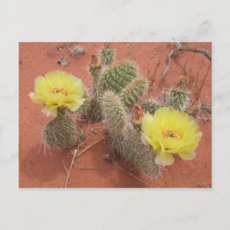 Gele Prickley Pear Briefkaart