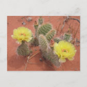 Gele Prickley Pear Briefkaart (Voorkant)