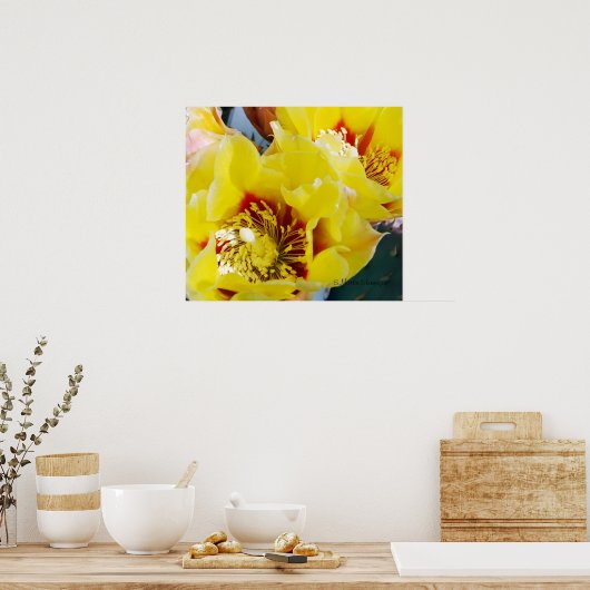 Gele Prickly Pear Cactus Poster (Keuken)