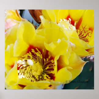 Gele Prickly Pear Cactus Poster