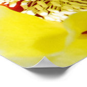 Gele Prickly Pear Cactus Poster (Hoek)