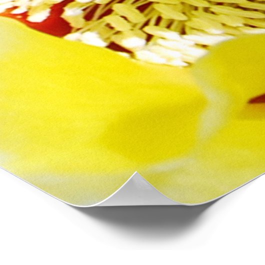 Gele Prickly Pear Cactus Poster (Hoek)