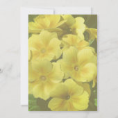 Gele Primrose bloemen Kaart (Achterkant)