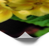 Gele Primrose Bloemen Orton Art Poster (Hoek)