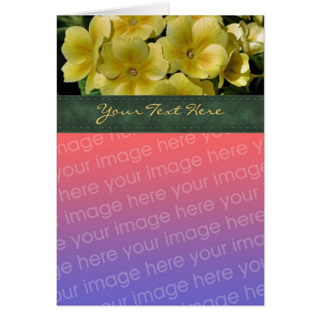 Gele Primrose Flower Photo Card (Voorkant)