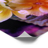 Gele Primrose Lente Bloemen Kleur Tint Poster (Hoek)