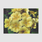 Gele primrose lentevloeren sluiten lospagina tissuepapier (Voorkant)