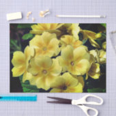 Gele primrose lentevloeren sluiten lospagina tissuepapier (Craft)