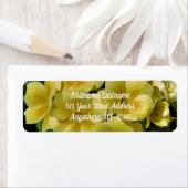 Gele Primrose Spring Flowers Adres Etiket (Insitu)