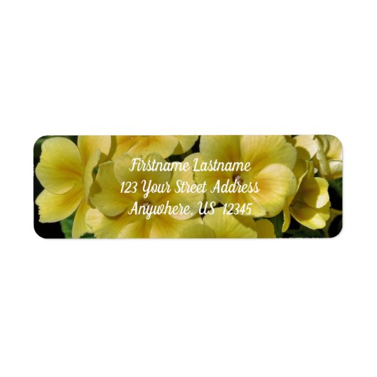 Gele Primrose Spring Flowers Adres Etiket (Voorkant)