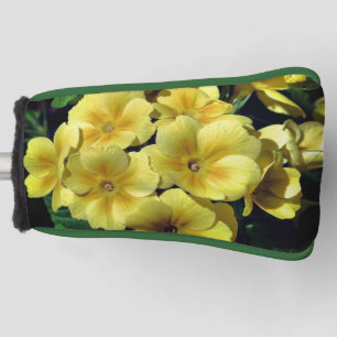 Gele primrose Spring Flowers close up Golfheadcover