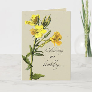 Gele Primrose Verjaardag Kaart