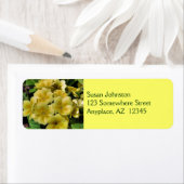 Gele Primrose Vloeradres Etiket (Insitu)