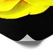 Gele primula in lente poster (Hoek)