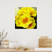 Gele primula in lente poster (Keuken)