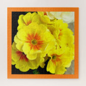 Gele primula legpuzzel (Horizontaal)