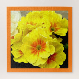 Gele primula legpuzzel