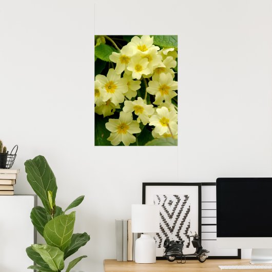 Gele primula/Primrose Vloerafdruk/Poster Poster (Thuiskantoor)