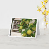 Gele Pruim Rustiek Portret Kaart (Gele Bloem)