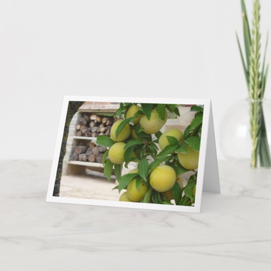 Gele Pruim Rustiek Portret Kaart (Voorkant)