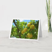 Gele Pruimen Blauwe Hemel Kaart (Voorkant)