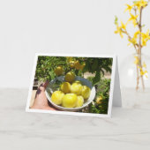 Gele pruimen in kom kaart (Gele Bloem)