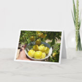 Gele pruimen in kom kaart (Voorkant)