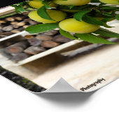 Gele Pruimen Rustiek Hout Poster (Hoek)