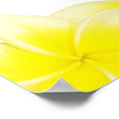 Gele pruimterie Frangipani Weddenschappen Poster (Hoek)