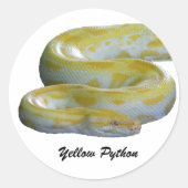 Gele Python-Stickers Ronde Sticker (Voorkant)