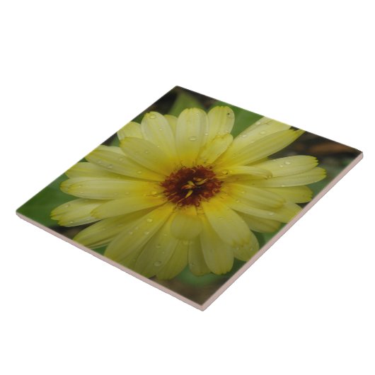 Gele Raindrops Marigold Tile Tegeltje (Zijkant)