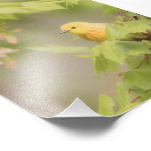 Gele Ray van zonneschijn - Gele Warbler Bird Foto Afdruk (Hoek)