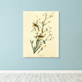 Gele Red-poll Warbler Audubon's Birds of America Canvas Afdruk (Insitu (Houten vloer))