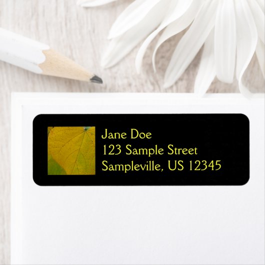 Gele Redbud laat de Natuur van de herfst Fotografi Etiket (Insitu)