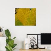 Gele Redbud laat de Natuur van de herfst Fotografi Poster (Thuiskantoor)