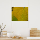 Gele Redbud laat de Natuur van de herfst Fotografi Poster (Keuken)
