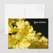Gele Rhododendron Ansichtkaart Briefkaart (Voorkant / Achterkant)