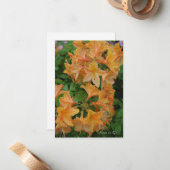 Gele Rhododendron Notitiekaartje (Voorkant / Achterkant in situ)