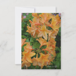 Gele Rhododendron Notitiekaartje