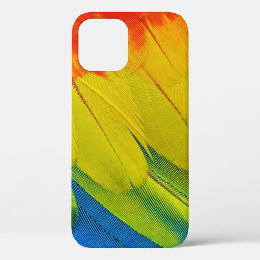 Gele, rode, blauwe en groene veren Case-Mate iPhone case (Achterkant)