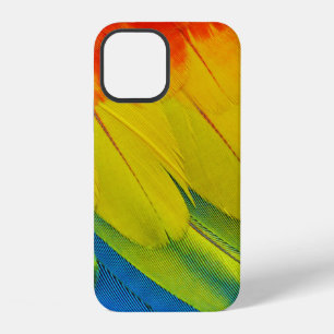 Gele, rode, blauwe en groene veren iPhone 12 hoesje
