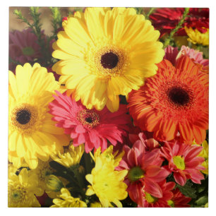 Gele rode Gerbera Chrysanthemum Flowers Tegeltje