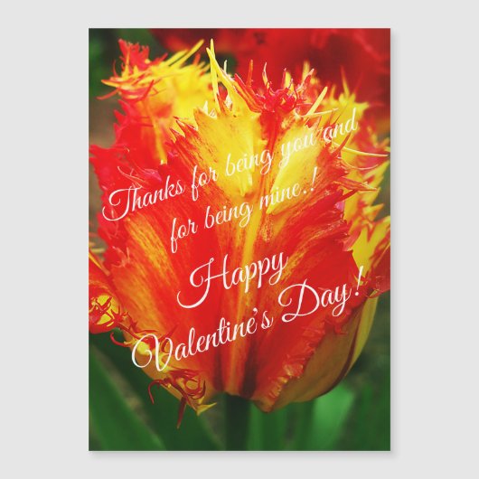 Gele rode krultulp Happy Valentine's Day (Voorkant)