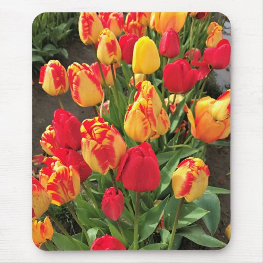 Gele & Rode Tulpen Muismat (Voorkant)